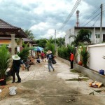 Gardening process
