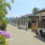 View of the project